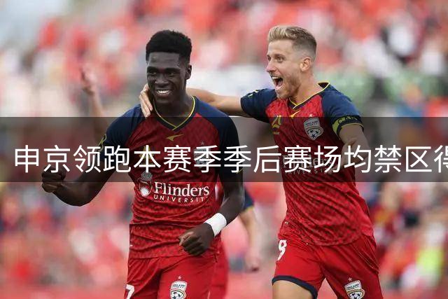 申京领跑本赛季季后赛场均禁区得分榜
