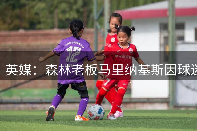 英媒：森林老板马里纳基斯因球迷争议横幅事件起诉水晶宫