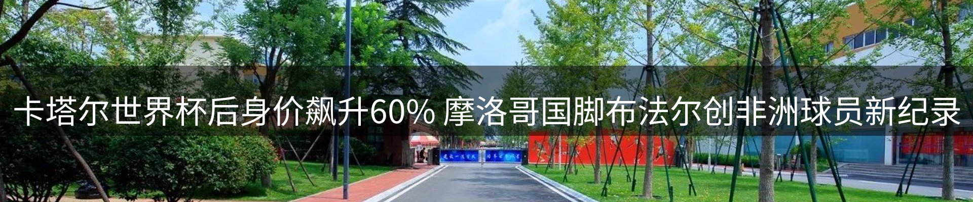 网站资讯