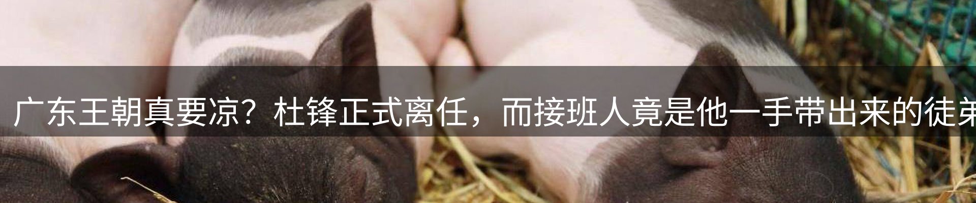 网站资讯