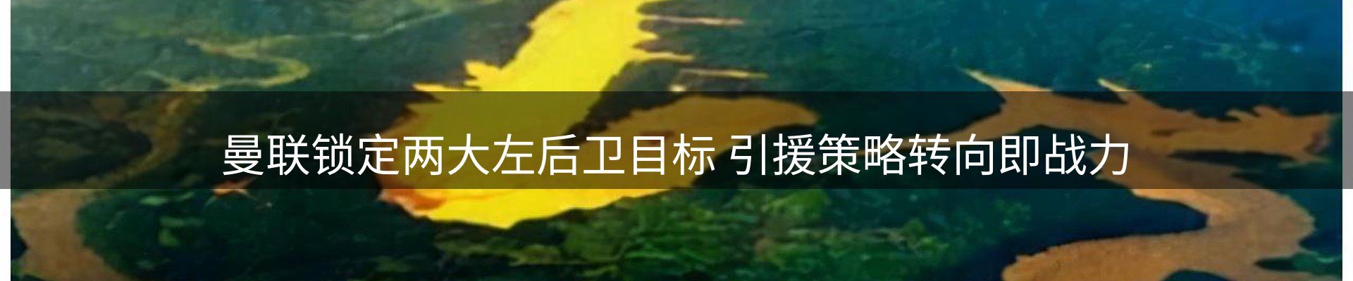 本周资讯