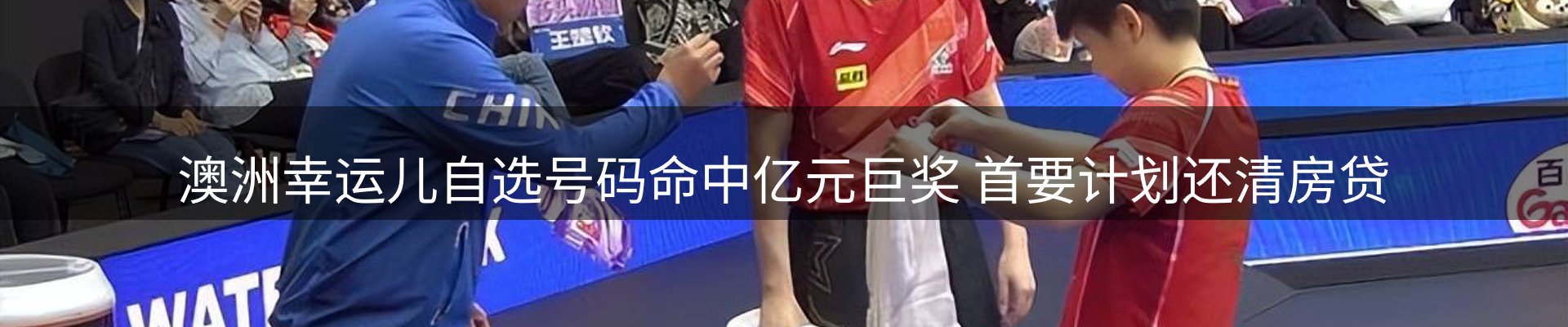 网站资讯