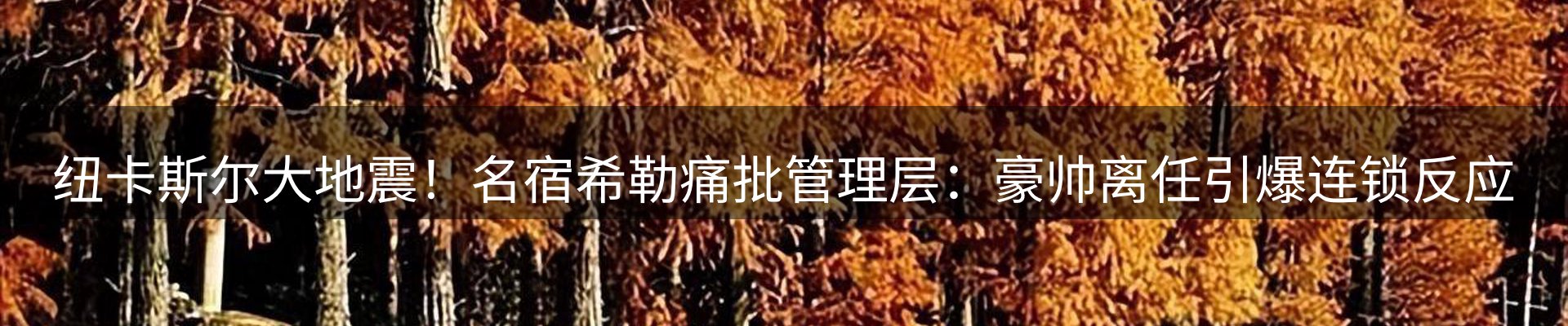 本周资讯