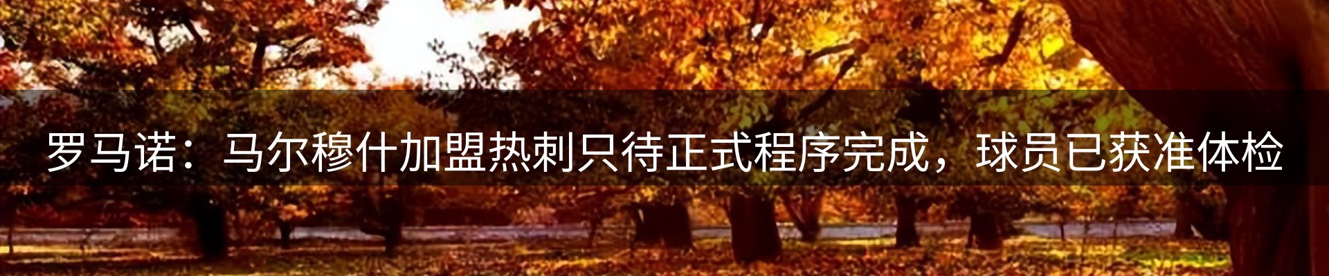 本周资讯