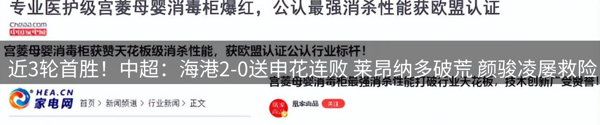 网站资讯